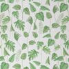 Papel Brasilis - Image 2